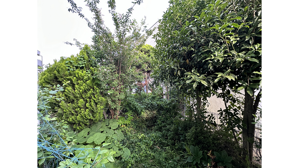 小金井市