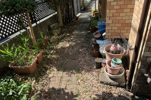 image0